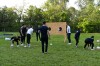 DSC_6822~0.JPG