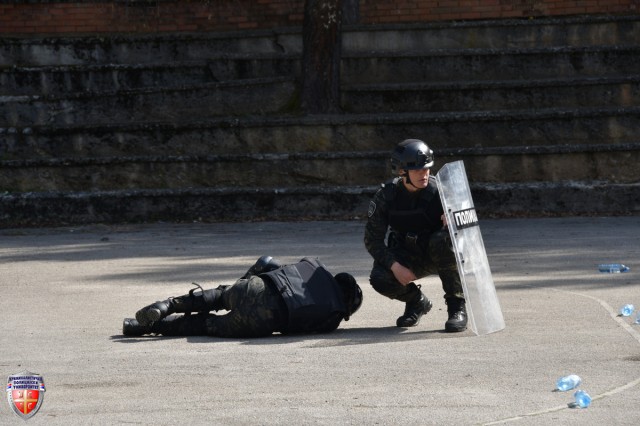 DSC_1347~0.JPG