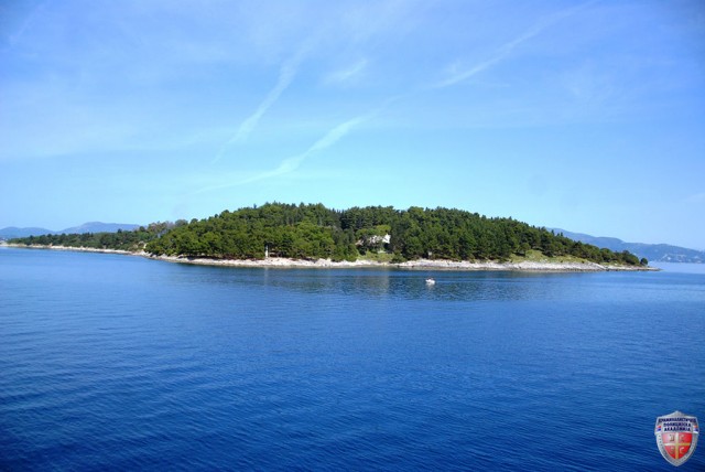 DSC_1436.JPG