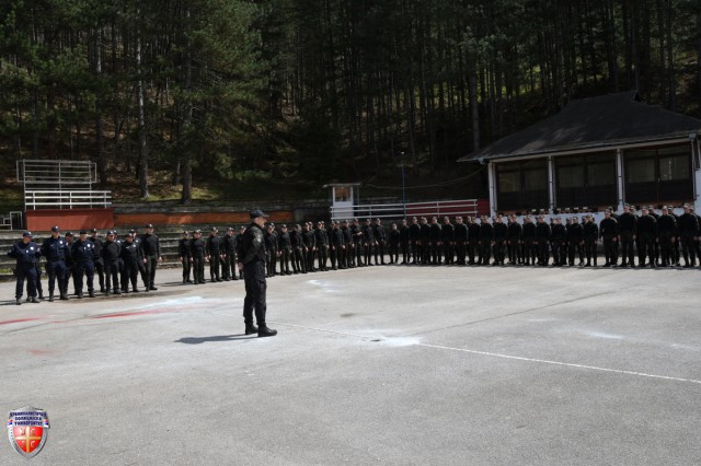 DSC_1768~2.JPG
