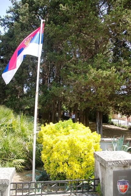 DSC_1778.JPG