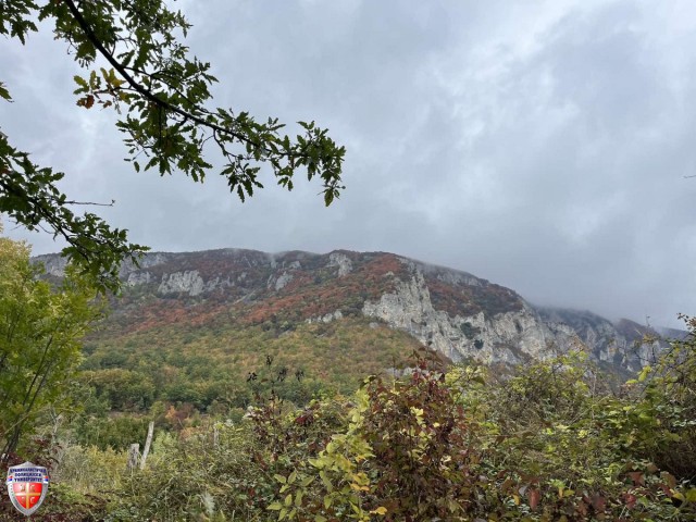 IMG_6564.jpg