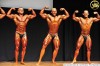 Bakic-SERBIA_European_Bodybuilding_Championship_2010_(25).jpg