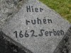 Ime fajla=DSCN2694.JPG
Veličina fajla=309KiB
Dimenzije=1024x768
Datum postavljanja=%24. %396 %2016. DSCN2694.JPG