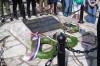 DSC_1768.JPG