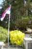 Ime fajla=DSC_1778.JPG
Veličina fajla=345KiB
Dimenzije=685x1024
Datum postavljanja=%21. %617 %2016. DSC_1778.JPG