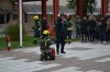 Ime fajla=DSC_7589.JPG
Veličina fajla=162KiB
Dimenzije=1024x683
Datum postavljanja=%12. %638 %2019. DSC_7589.JPG