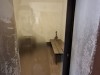 IMG_6227.jpeg