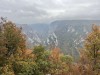 IMG_6560.jpg