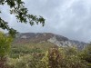 IMG_6564.jpg